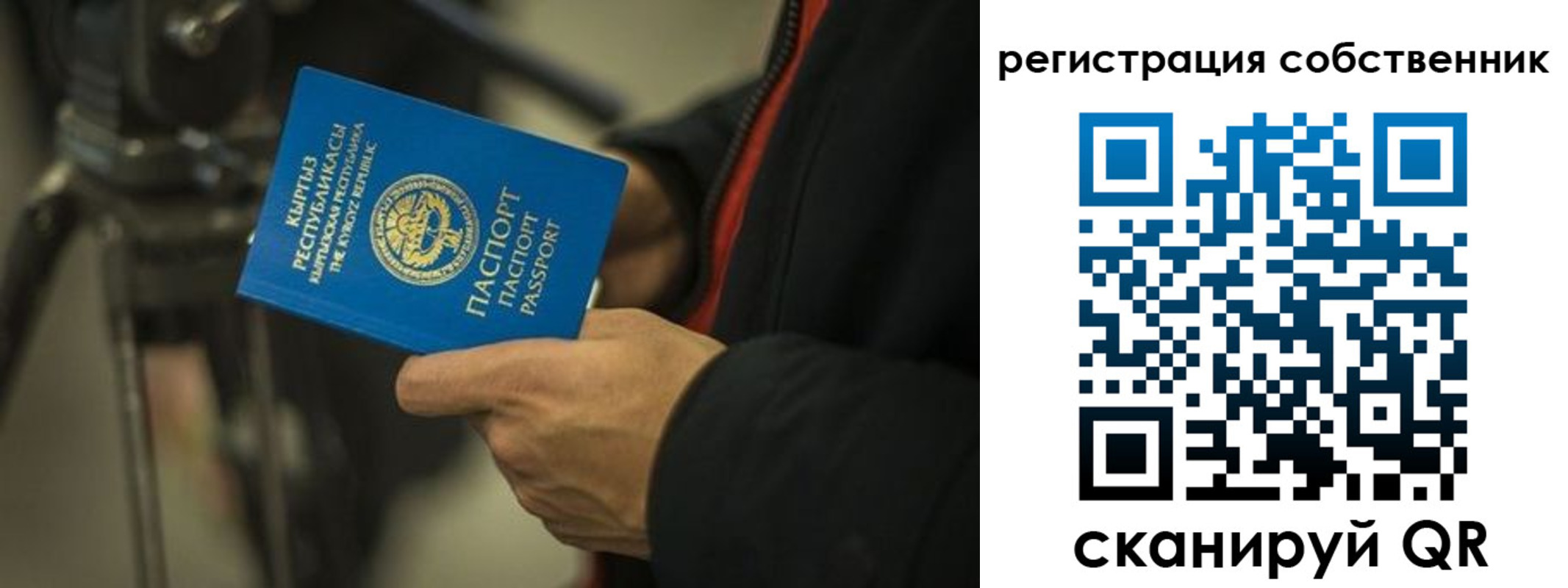 временная регистрация поиск в Белгороде